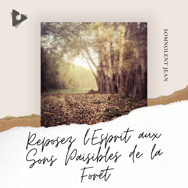 Reposez l'Esprit aux Sons Paisibles de la Forêt