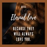 Eternal Love