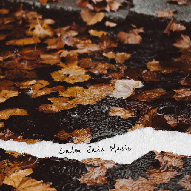 Calm Rain Music