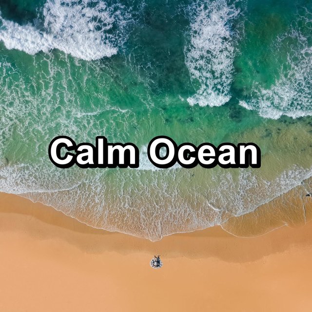 Calm Ocean