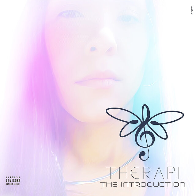 The Introduction