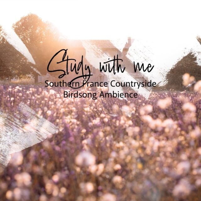 Study with Me: Southern France Countryside Birdsong Ambience