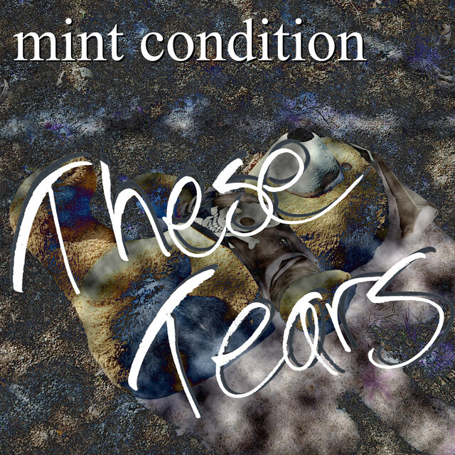 These Tears by Mint Condition on TIDAL