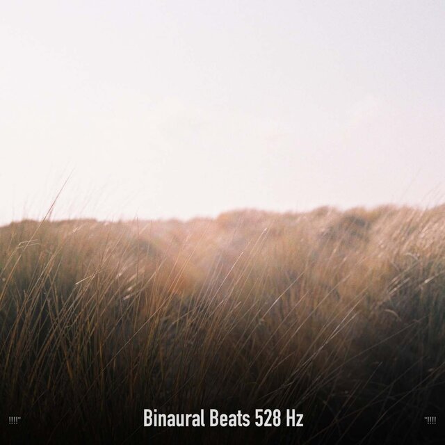 !!!!" Binaural Beats 528 Hz "!!!!