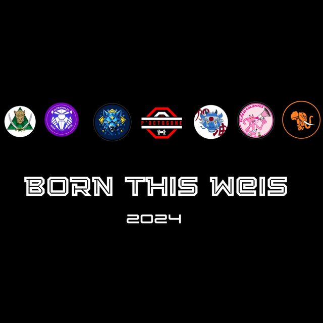 BornThisWeis-V1.wav (feat. PropaLH, AfroBeats, UltraViolets, UltraCalientes, l'Armée Bleue & UltraIntisar)