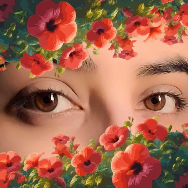Hibisco