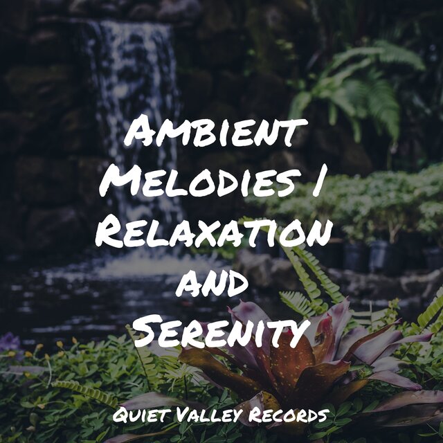 Ambient Melodies | Relaxation and Serenity