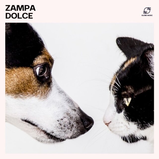 Zampa Dolce: Musica Rilassante per Cani