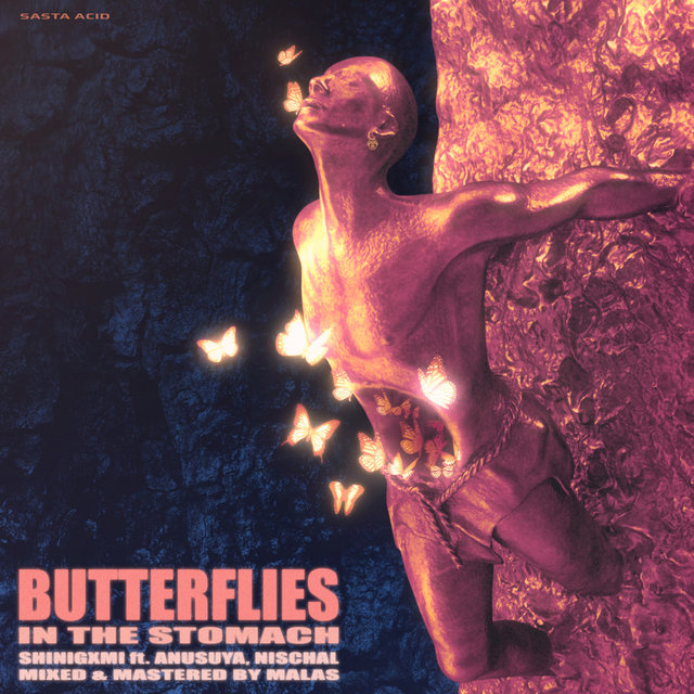 BUTTERFLIES IN THE STOMACH (feat. Anusuya & Nischal Chaubey)