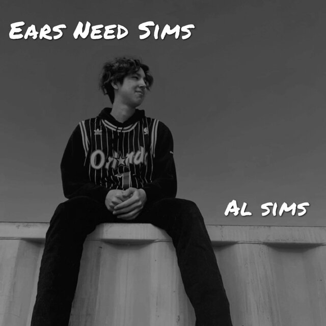 EarsNeedSims