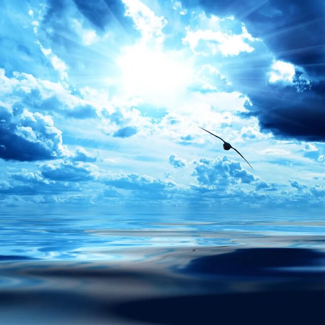 Awakening