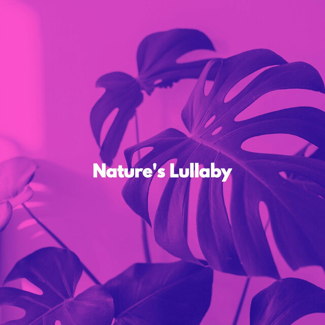 Nature's Lullaby