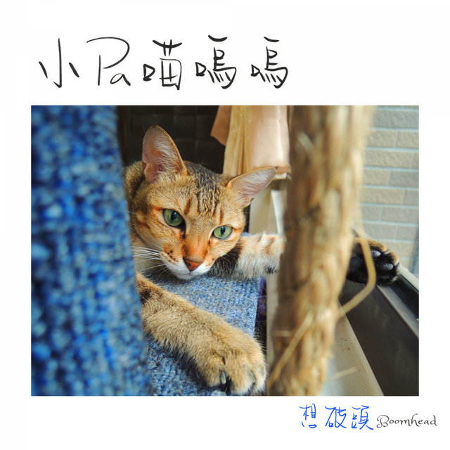 A Little Tabby Cat's Fantasy