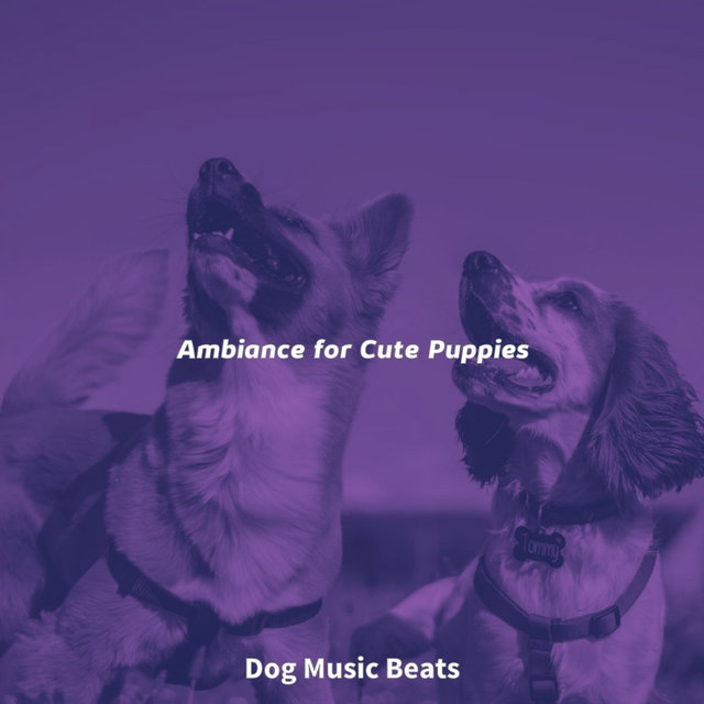 Ambiance for Cute Puppies