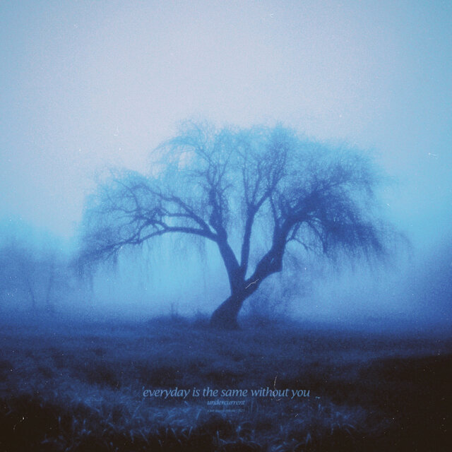 blink of dawn