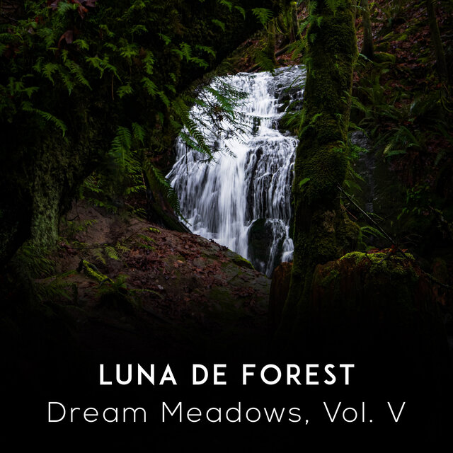 Dream Meadows, Vol. V