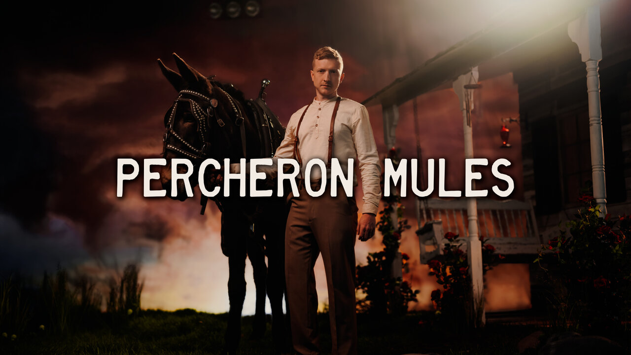 Percheron Mules (Lyric Video)