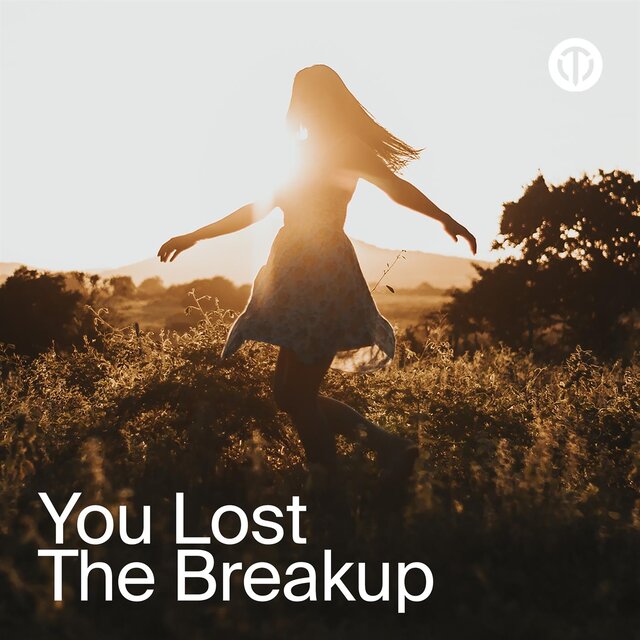 You Lost the Breakup