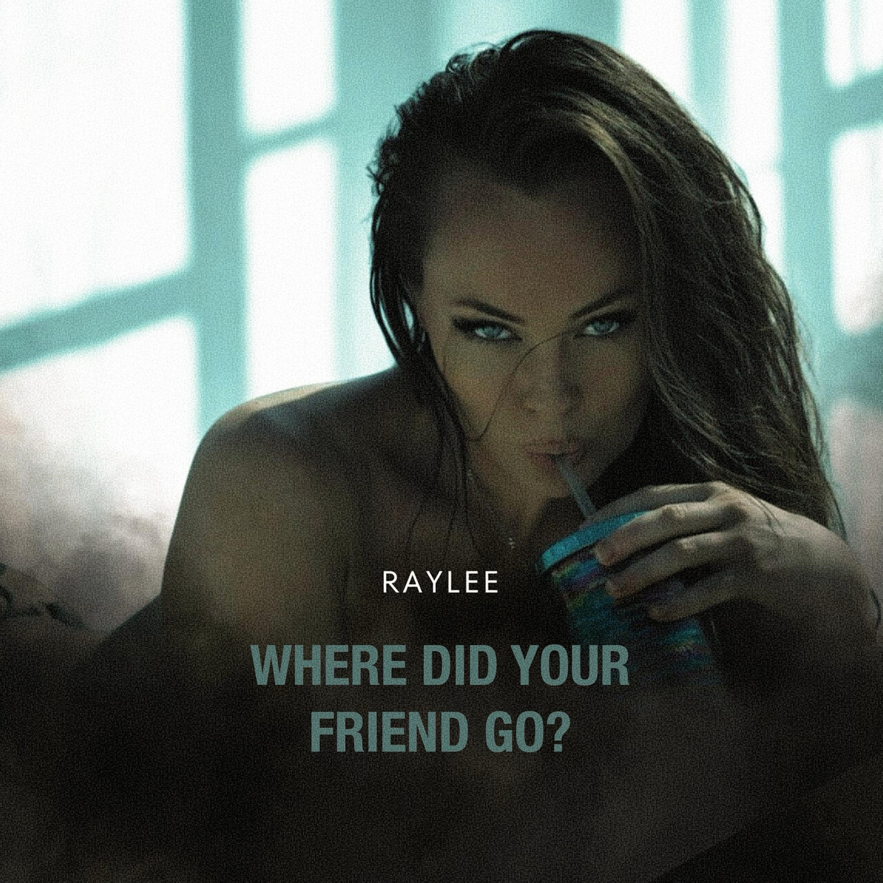 Raylee — Where Did Your Friend Go? cover artwork