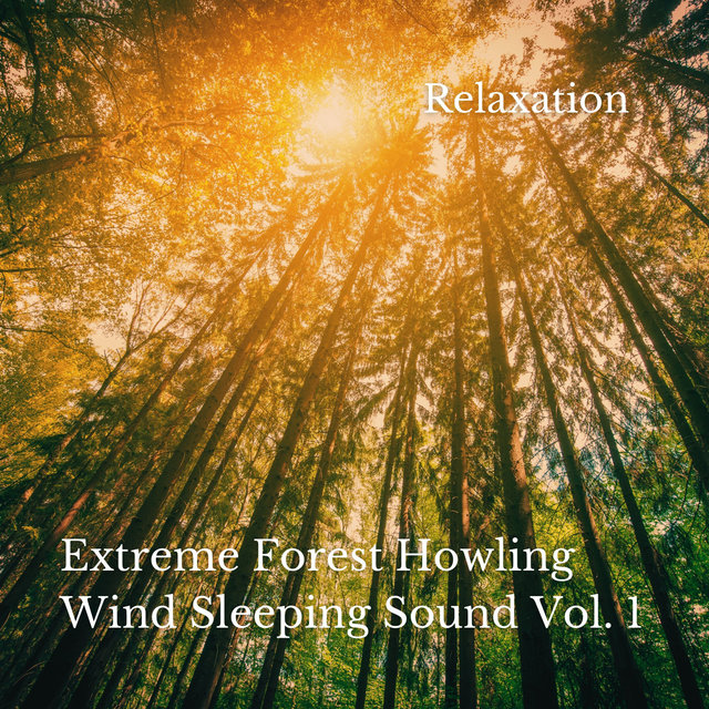 Relaxation: Extreme Forest Howling Wind Sleeping Sound Vol. 1