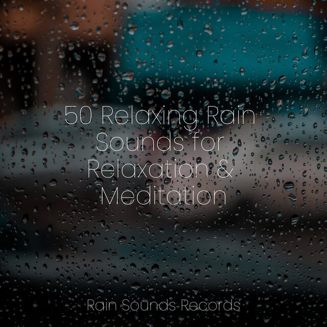 50 Relaxing Rain Sounds for Relaxation & Meditation
