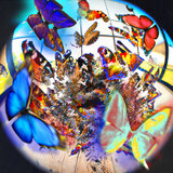 Butterfly Effect