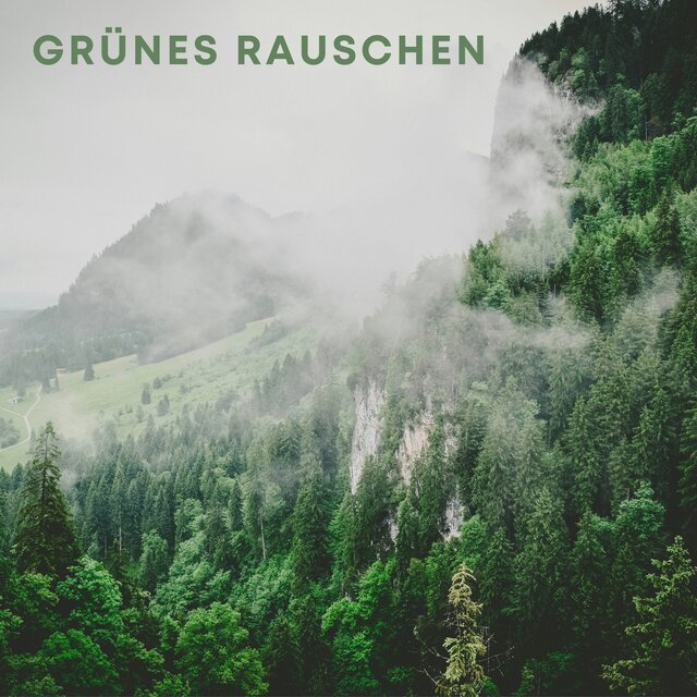 Grünes Rauschen