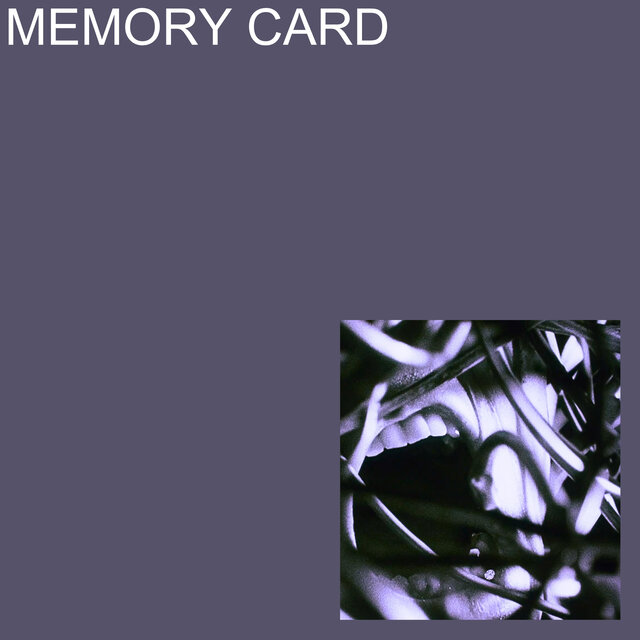 Memory Card