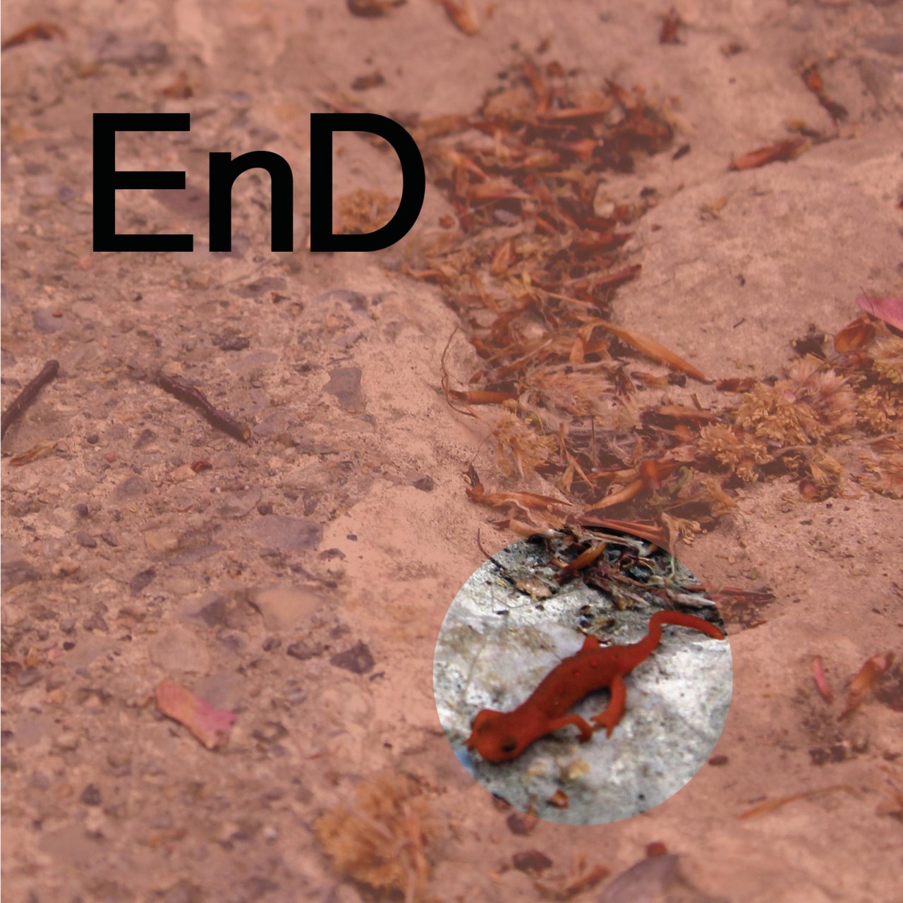 0 shutdown. Session end. Logs interface. Session end. Session end.