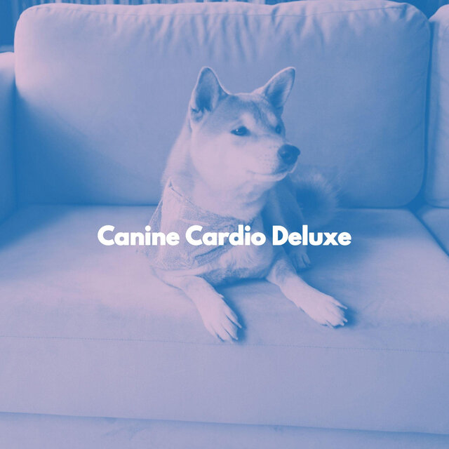 Canine Cardio Deluxe