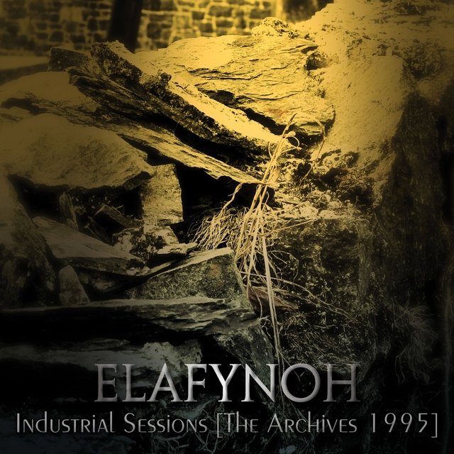 Industrial Sessions (The Archives 1995)