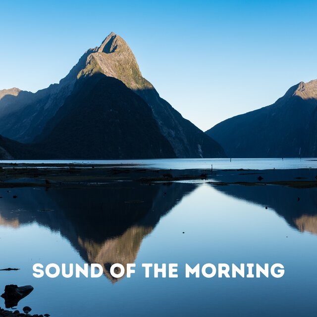 Sound of the Morning