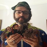 Valente da Internet