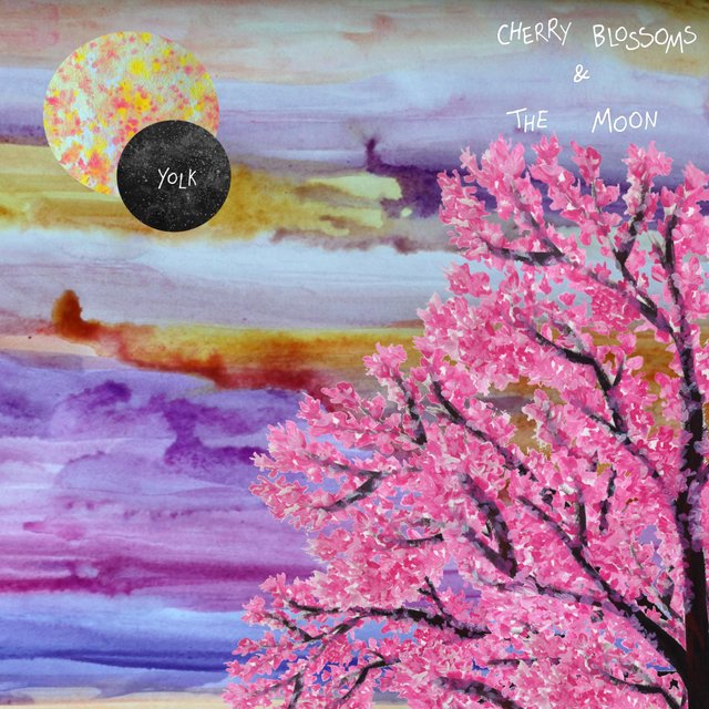 Cherry Blossoms & the Moon