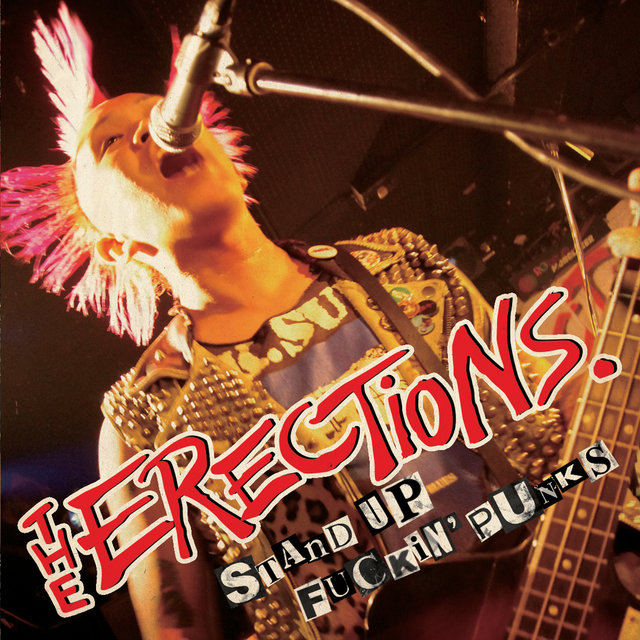 Stand up F*ckin' Punks