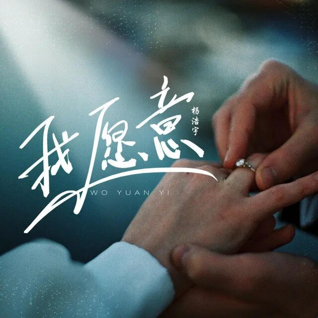 我愿意 (DJ小智版)