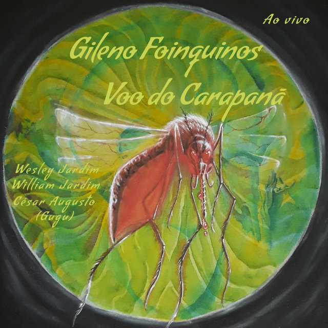 Voo do Carapanã