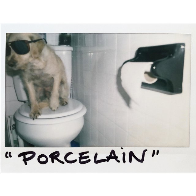 Porcelain