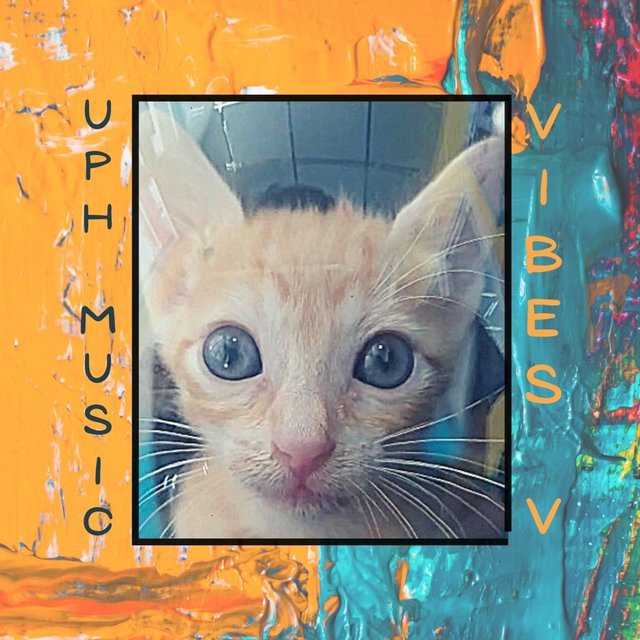 Vibes V