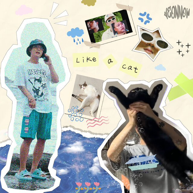 Like a cat