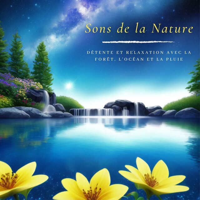 Sons de la Nature: Détente et Relaxation avec la Forêt, l'Océan et la Pluie