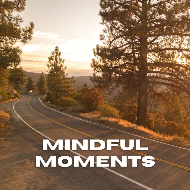 Mindful Moments