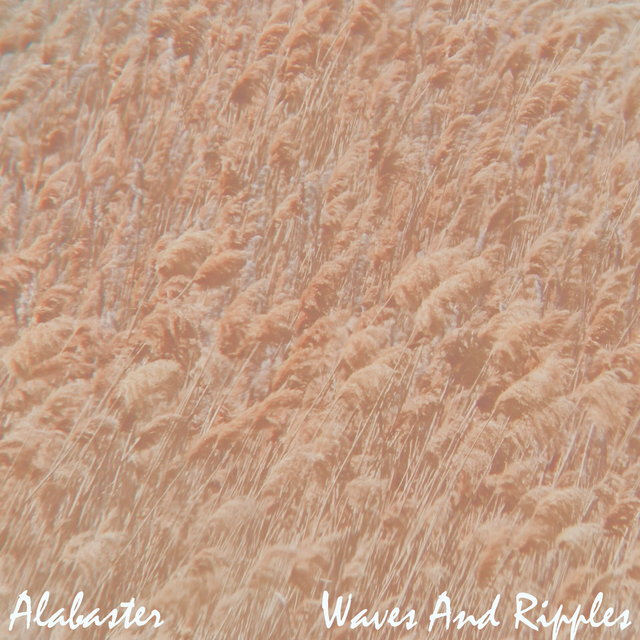 Waves and Ripples