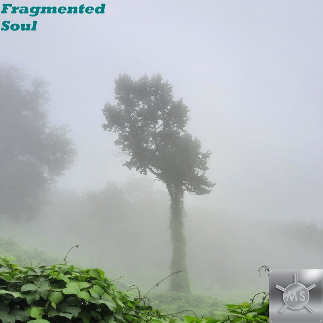 Fragmented Soul: Instrumentals