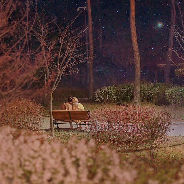A Spring Night