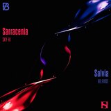 Sarracenia