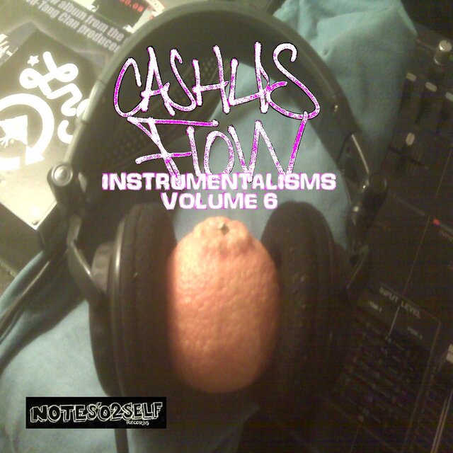 Instrumentalisms Volume 6