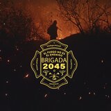 Brigada 2045