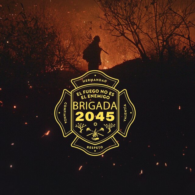 Brigada 2045