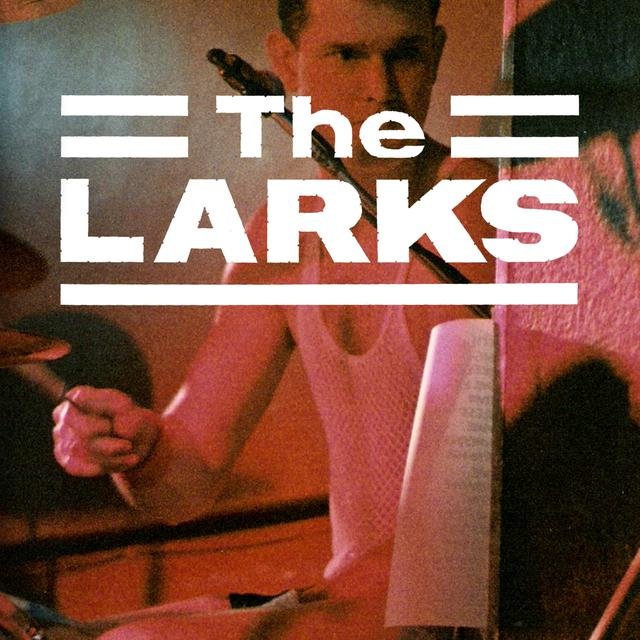 The Larks Live in Leicester